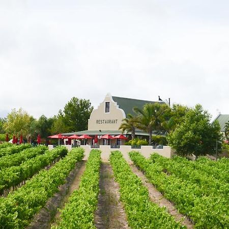 Skilpadvlei Wine Farm Στέλενμπος Εξωτερικό φωτογραφία