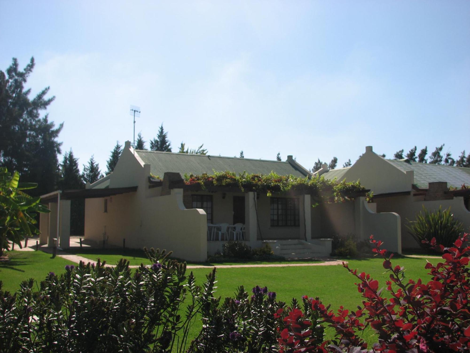 Skilpadvlei Wine Farm Στέλενμπος Δωμάτιο φωτογραφία