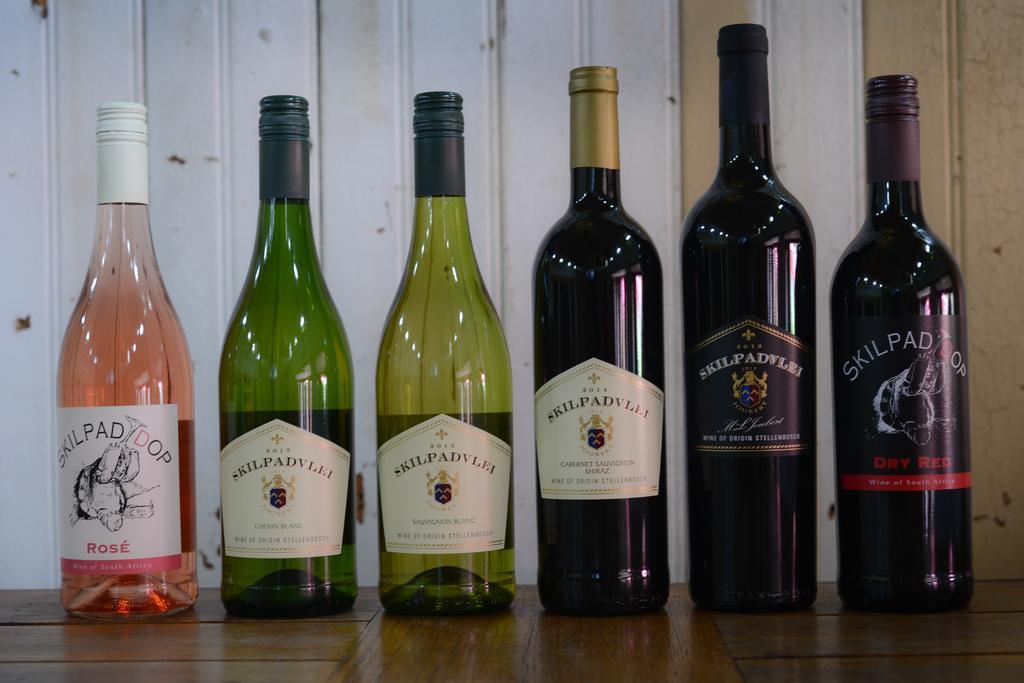 Skilpadvlei Wine Farm Στέλενμπος Εξωτερικό φωτογραφία