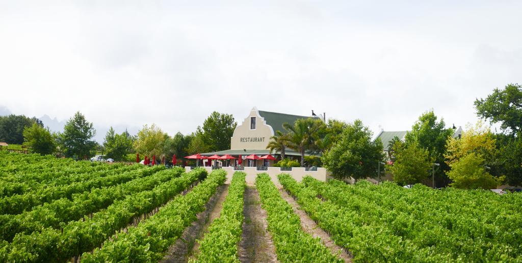 Skilpadvlei Wine Farm Στέλενμπος Εξωτερικό φωτογραφία