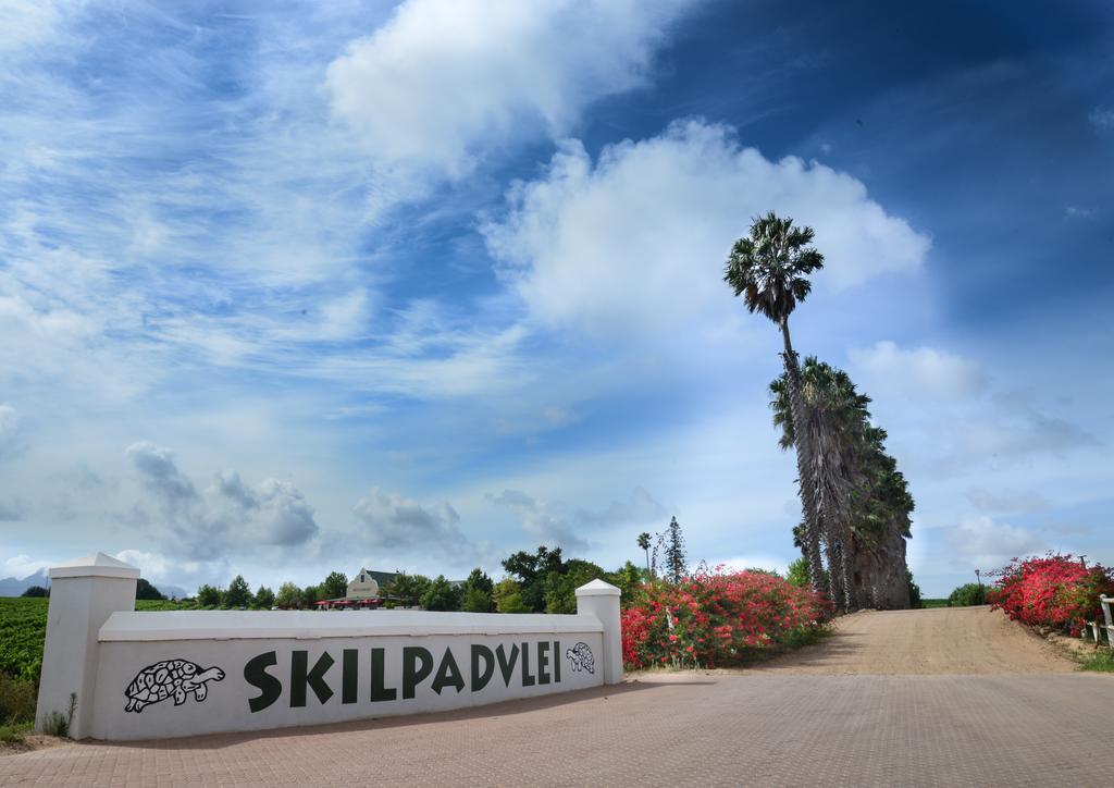 Skilpadvlei Wine Farm Στέλενμπος Εξωτερικό φωτογραφία