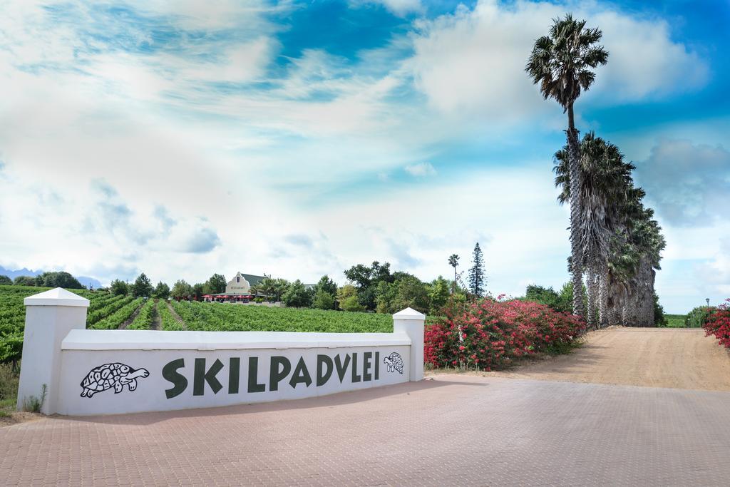Skilpadvlei Wine Farm Στέλενμπος Εξωτερικό φωτογραφία