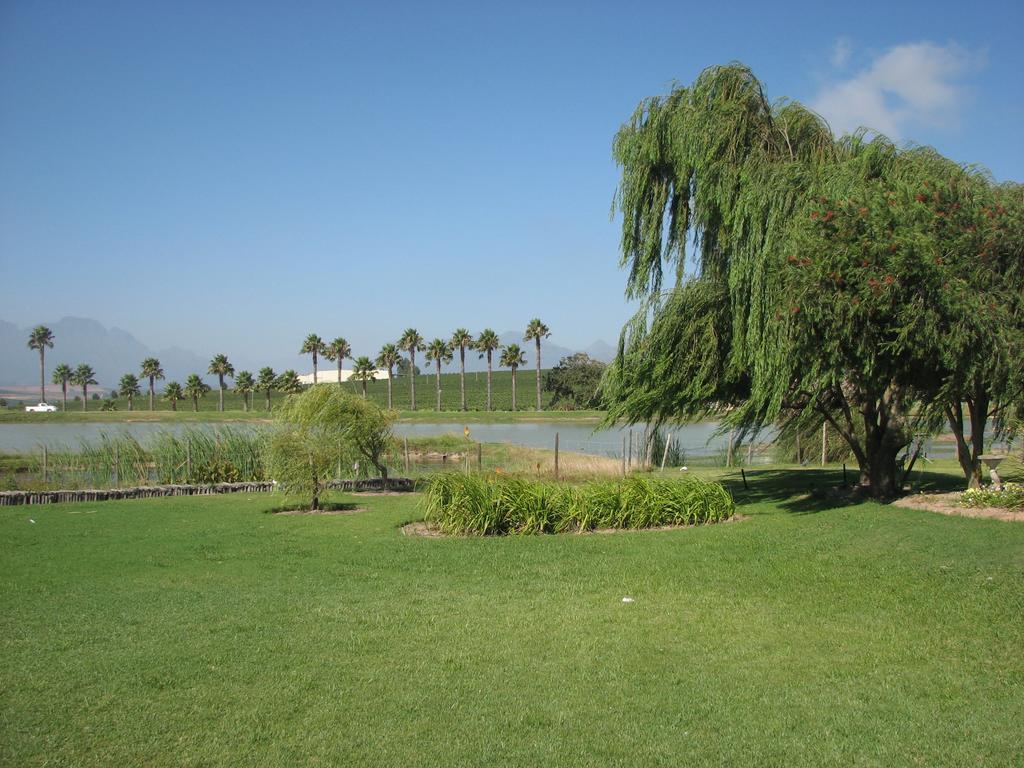 Skilpadvlei Wine Farm Στέλενμπος Εξωτερικό φωτογραφία